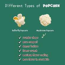 Load image into Gallery viewer, 【3 For $12】Heartland NY Seaweed Protein Popcorn