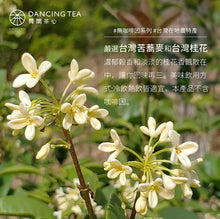 Load image into Gallery viewer, 舞間茶心苦蕎桂花茶包 Dancing Tea Buckwheat Osmanthus Flowers Tea Bag