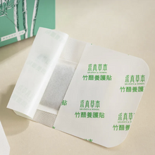 Load image into Gallery viewer, 里仁竹醋養護貼 Leezen Detox Foot Patch