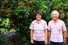 Load image into Gallery viewer, 山頂狀圓土窯柴焙龍眼乾 PeiZao Dried Smoked Longan