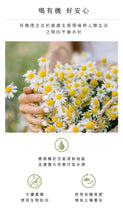 Load image into Gallery viewer, 曼寧有機橙香歡樂茶 Magnet Organic Delight Tea With Orange