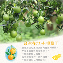 Load image into Gallery viewer, 清淨生活有機柳丁綠茶 Lustration Life Organic Orange Green Tea