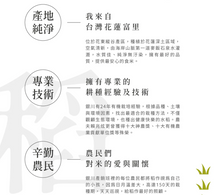 Load image into Gallery viewer, 銀川沖泡純米粉-麻油當歸(5入) Yin Chuan Instant Rice Noodles-Sesame Oil Angelica (5 Count)