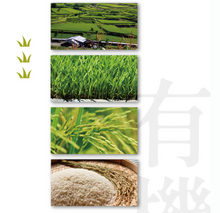 Load image into Gallery viewer, 銀川沖泡純米粉-麻油當歸(5入) Yin Chuan Instant Rice Noodles-Sesame Oil Angelica (5 Count)