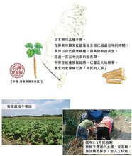 Load image into Gallery viewer, 曼寧馬黛牛蒡茶 Magnet Burdock Tea With Mate