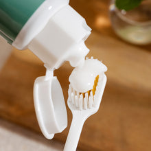 Load image into Gallery viewer, 里仁潔淨無泡沫牙膏 Leezen Foamless Toothpaste
