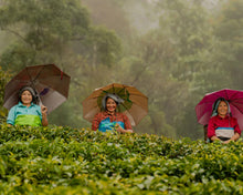 Load image into Gallery viewer, Grace Farms Organic Darjeeling Sunrise Black Tea