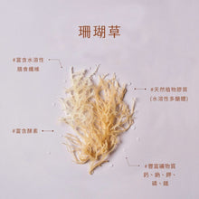 Load image into Gallery viewer, 清淨生活特級珊瑚草 Lustration Life Premium Dried Coral Grass