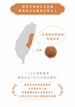 Load image into Gallery viewer, 曼寧豐穀蕎麥茶 Magnet Buckwheat Tea with Brown Rice