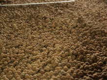 Load image into Gallery viewer, 山頂壯圓龍眼花茶禮盒 PeiZao Longan Flower Tea Gift Box