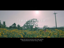 Load and play video in Gallery viewer, 曼寧杭菊茶 Magnet Chrysanthemum Tea