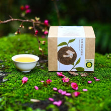 Load image into Gallery viewer, 淨源清香平面茶包 Ching Yuan Oolong Tea Bags-Light Roasted