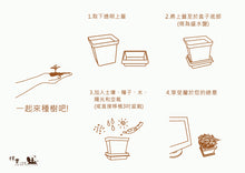 Load image into Gallery viewer, 樸實夏威夷鳳椰糕 Pure & Simple Studio PIÑA Colada Cake