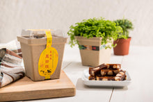 Load image into Gallery viewer, 樸實夏威夷鳳椰糕 Pure & Simple Studio PIÑA Colada Cake