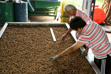 Load image into Gallery viewer, 山頂狀圓土窯柴焙龍眼乾 PeiZao Dried Smoked Longan
