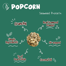 Load image into Gallery viewer, 【3 For $12】Heartland NY Seaweed Protein Popcorn
