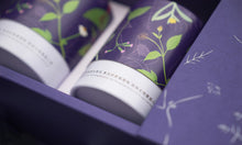 Load image into Gallery viewer, 淨源草木之森茶葉禮盒 (清香烏龍75g X 小葉紅茶30g)  Ching Yuan Tea Gift Set-Grassy Forest (Light-Roasted Oolong+Black Tea)
