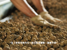 Load image into Gallery viewer, 山頂狀圓東山土窯柴焙桂圓 PeiZao Dongshan Earth Kiln Dried Smoked Longan
