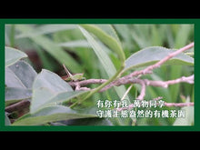 Load and play video in Gallery viewer, 里仁有機洺盛烘焙烏龍茶 Leezen Roasted Oolong Tea
