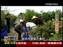 Load and play video in Gallery viewer, 陳稼莊小果醬-桑椹 Chen Jiah Juang Mulberry Jam
